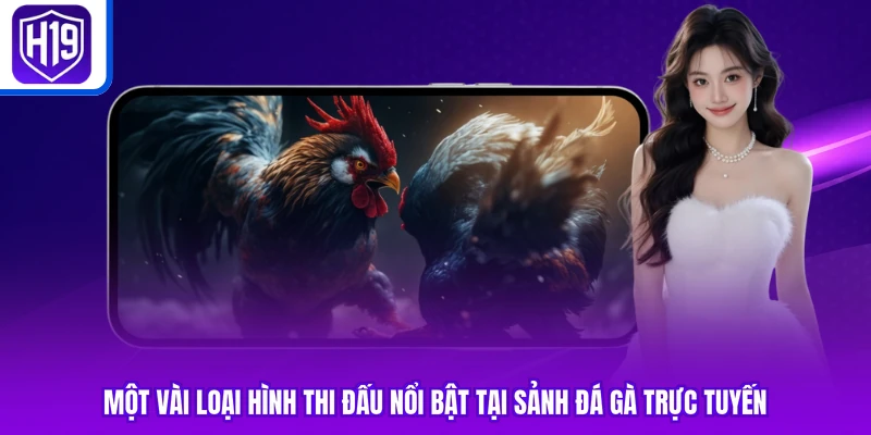 Một vài loại hình thi đấu nổi bật tại sảnh đá gà trực tuyến